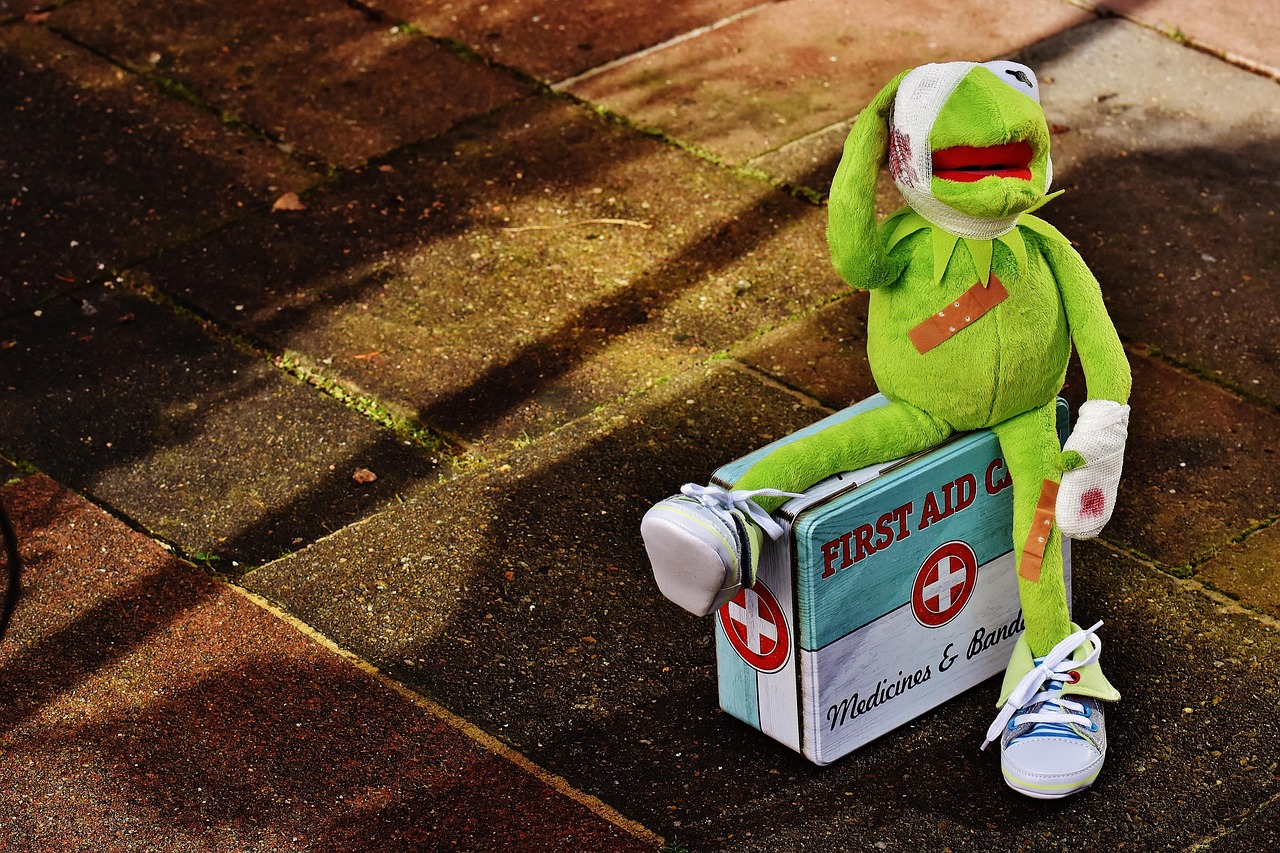 kermit-1766144_1280